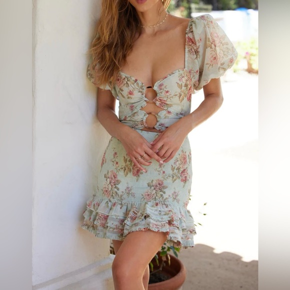 $395 NWT V. Chapman Valerie Puff Sleeve Mini Dress in Tapestry Rose Sz 2 - Picture 1 of 11